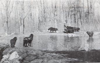 the pond at Nashau-Auke